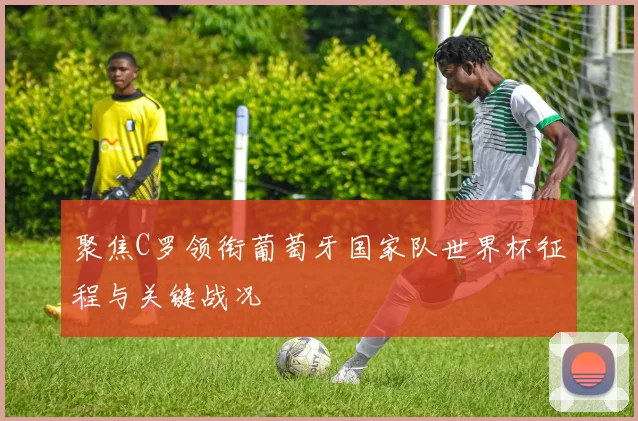 聚焦C罗领衔葡萄牙国家队世界杯征程与关键战况