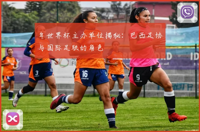 年世界杯主办单位揭秘：巴西足协与国际足联的角色