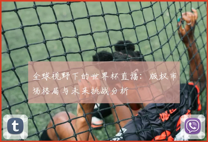 全球视野下的世界杯直播：版权市场格局与未来挑战分析