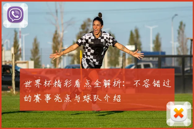 世界杯精彩看点全解析：不容错过的赛事亮点与球队介绍